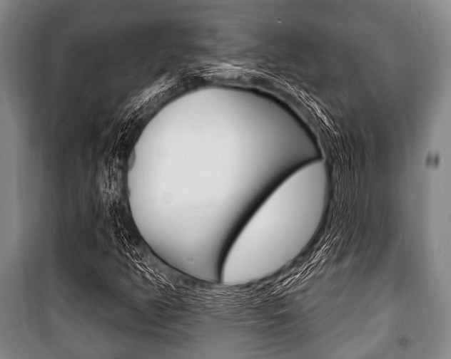 X0000101201350200806270819