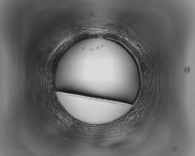 X0000101201351200806270819