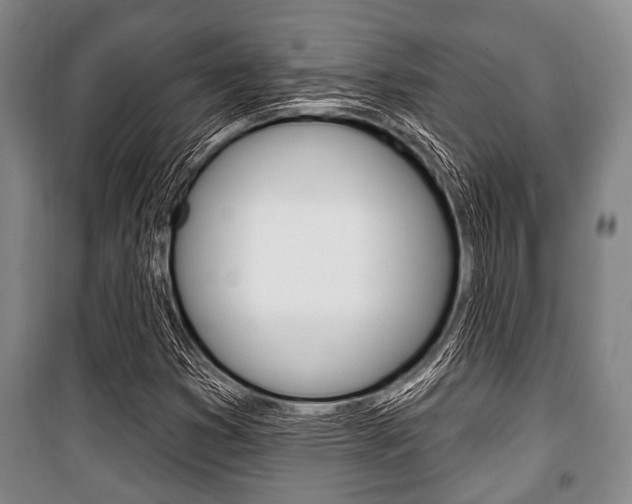 X0000101201353200806270819