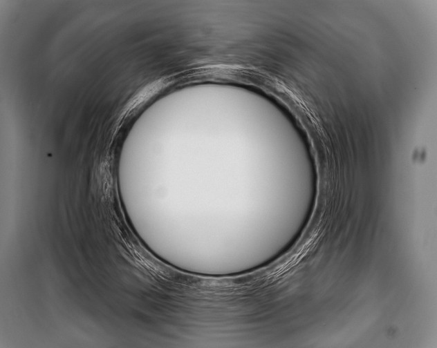 X0000101201354200806270819