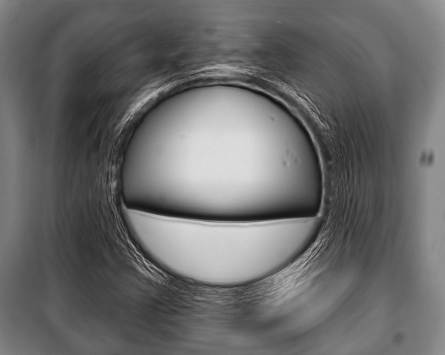X0000101201355200806270819