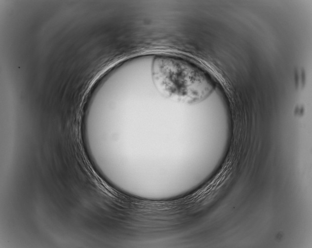 X0000101201356200806270819