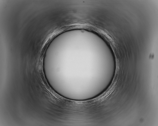 X0000101201357200806270819