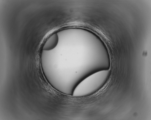 X0000101201358200806270819