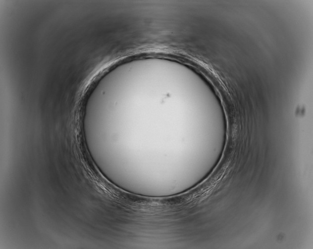 X0000101201359200806270819