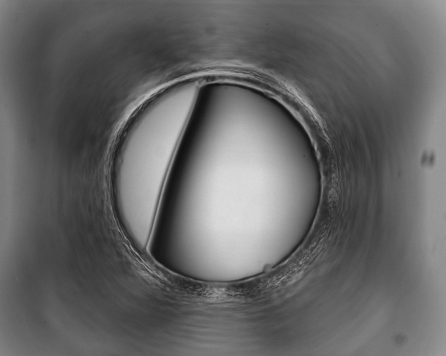X0000101201360200806270819
