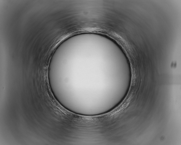 X0000101201361200806270819