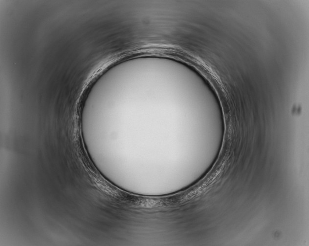 X0000101201362200806270819