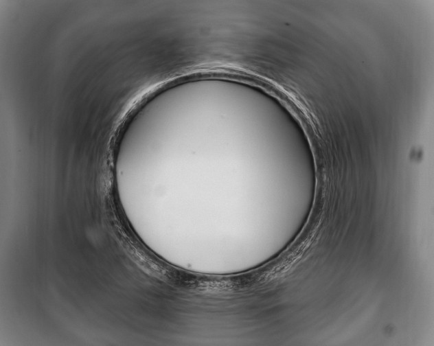 X0000101201363200806270819
