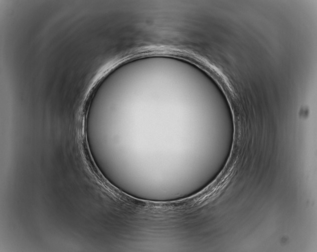 X0000101201365200806270819