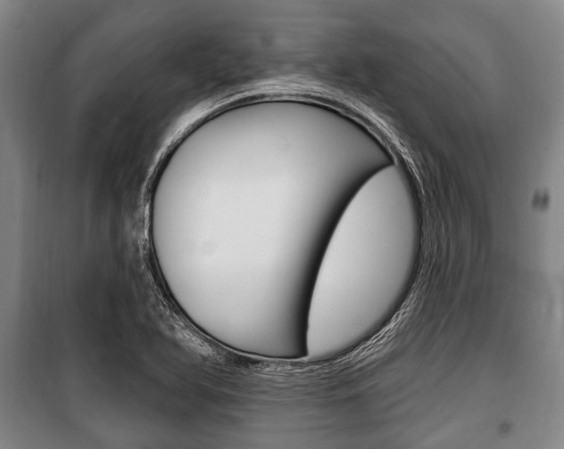 X0000101201366200806270819