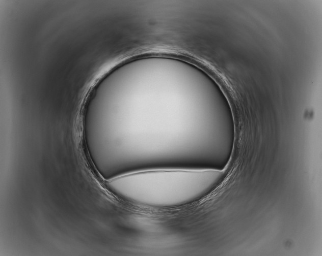 X0000101201367200806270819