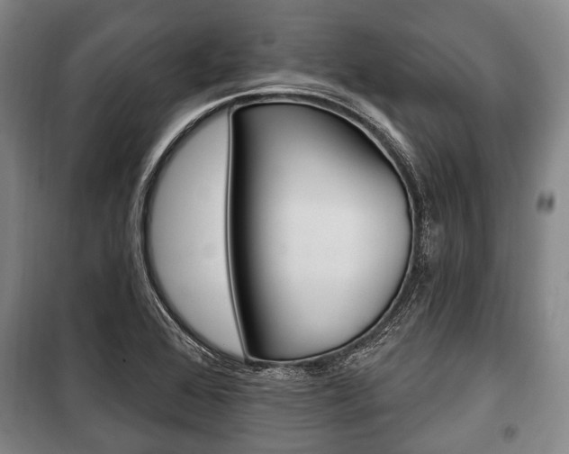 X0000101201368200806270819