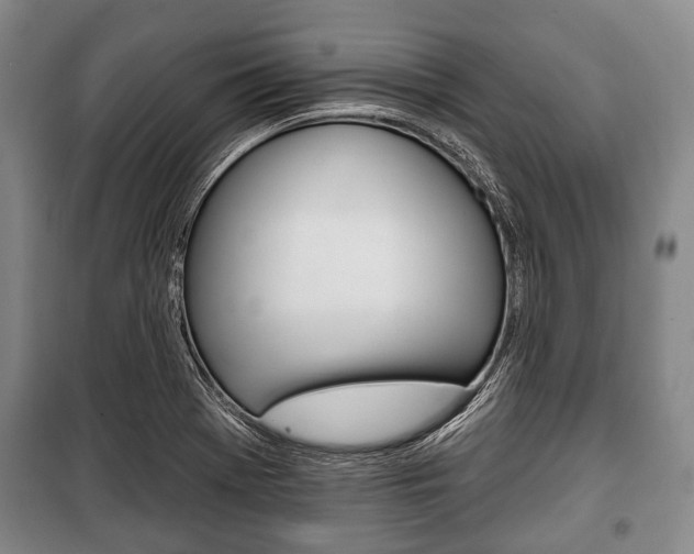 X0000101201369200806270819