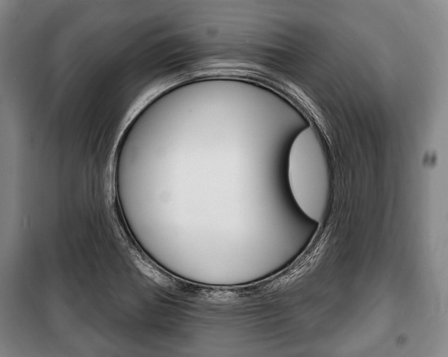 X0000101201370200806270819