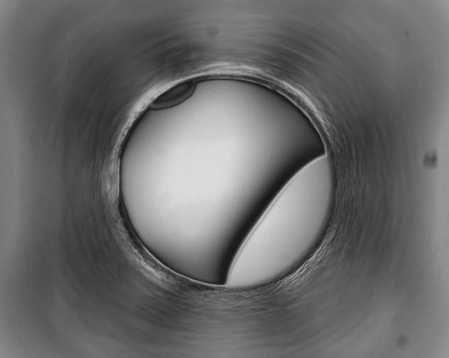 X0000101201371200806270819