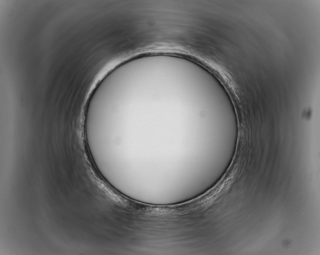 X0000101201374200806270819
