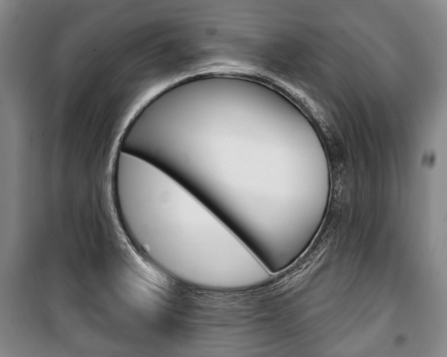 X0000101201375200806270819
