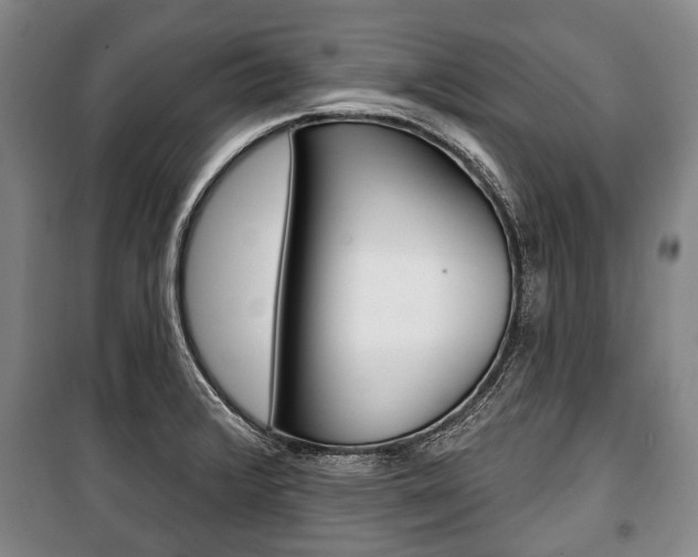 X0000101201376200806270819