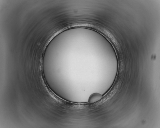 X0000101201377200806270819