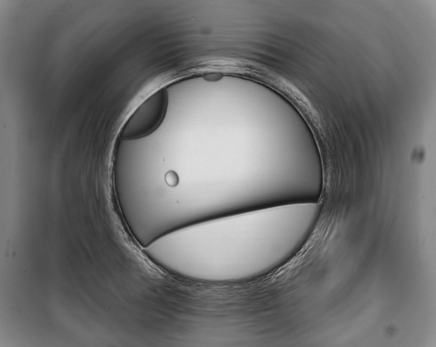 X0000101201378200806270819