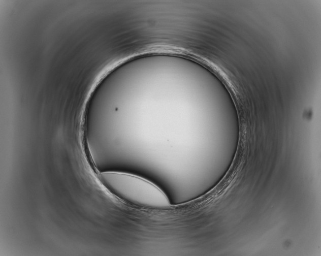 X0000101201379200806270819