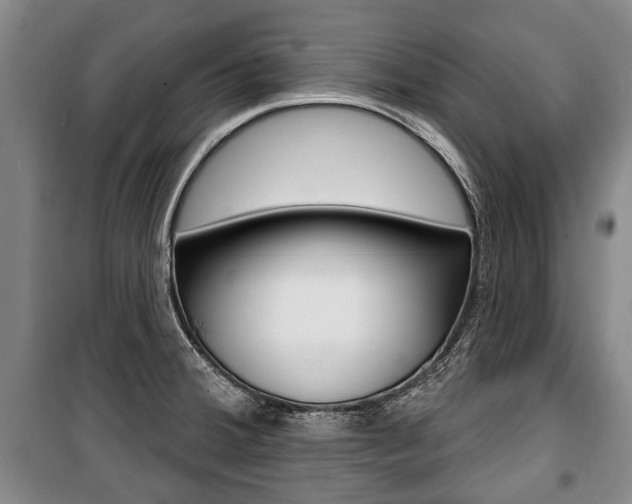 X0000101201380200806270819