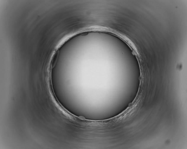 X0000101201381200806270819