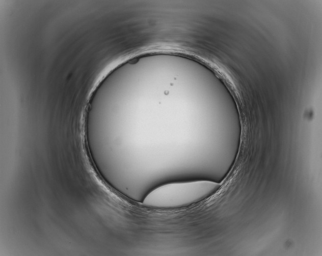 X0000101201382200806270819