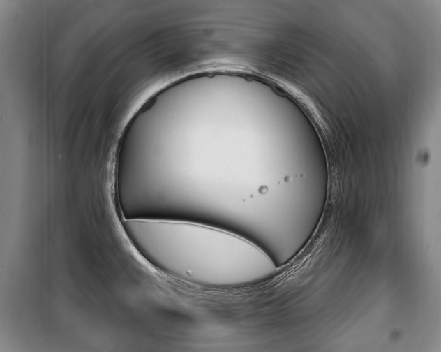 X0000101201383200806270819