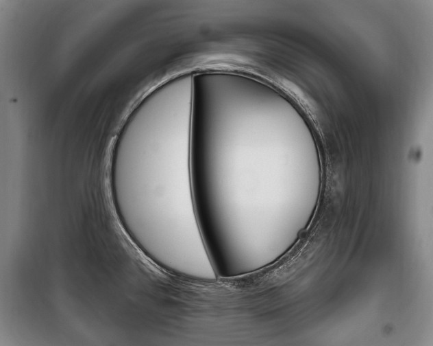 X0000101201384200806270819