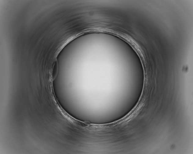 X0000101201385200806270819