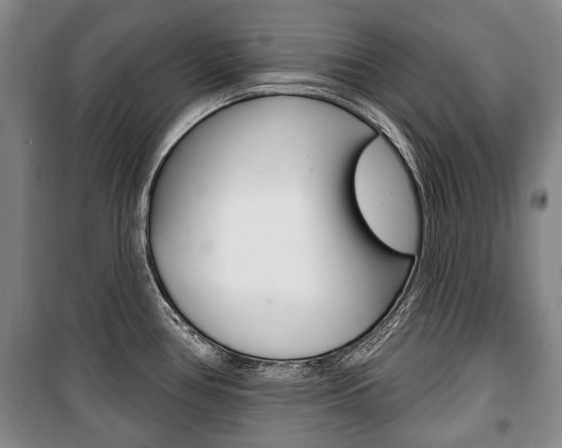 X0000101201386200806270819