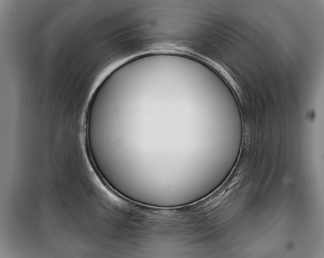 X0000101201387200806270819
