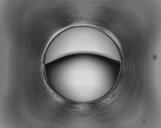 X0000101201388200806270819