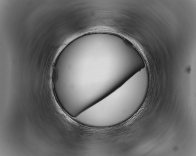 X0000101201390200806270819