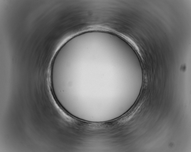 X0000101201391200806270819