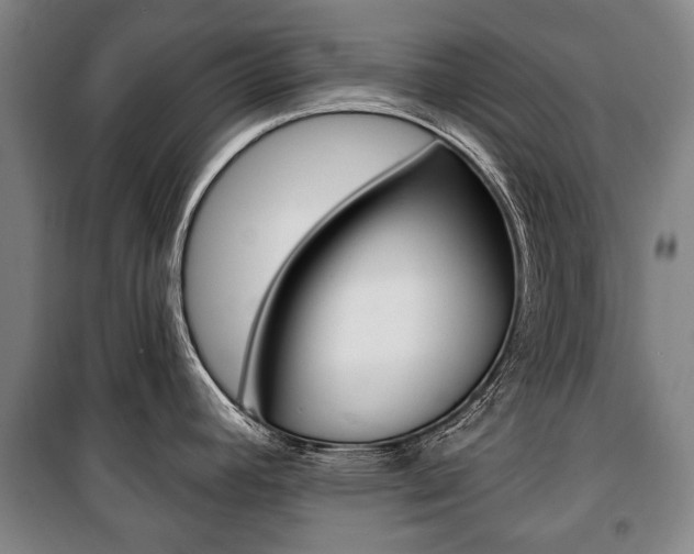 X0000101201392200806270819
