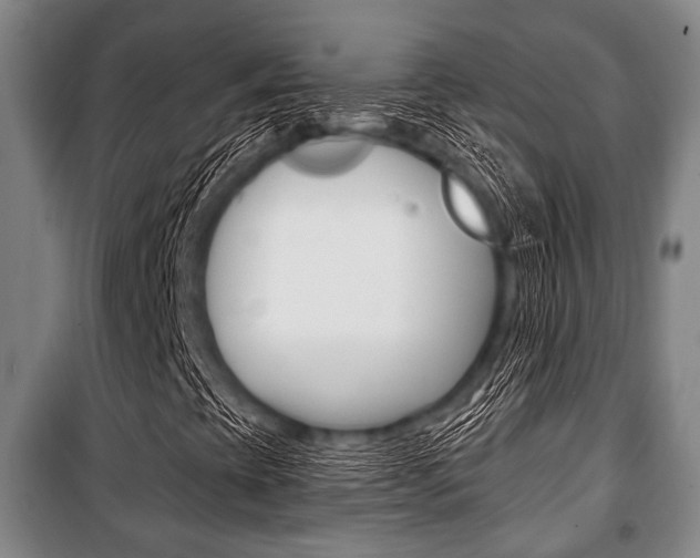 X0000101201393200806270818