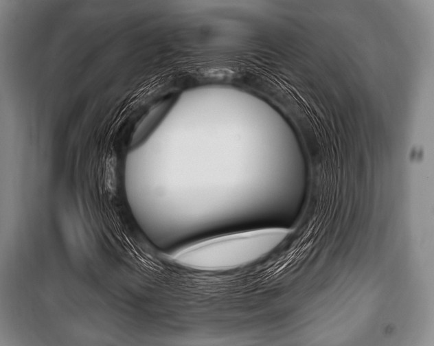 X0000101201394200806270818