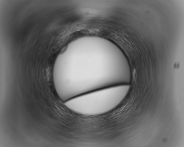 X0000101201395200806270818