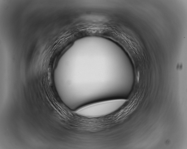 X0000101201396200806270818
