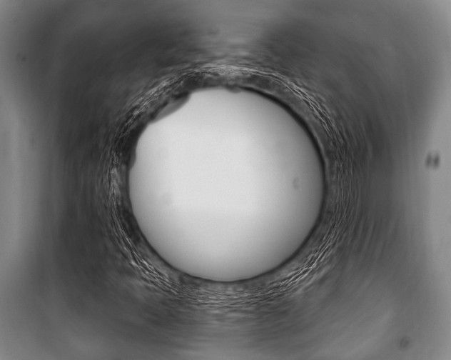 X0000101201397200806270818