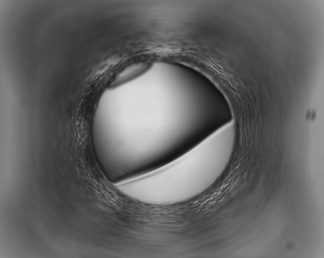 X0000101201398200806270818