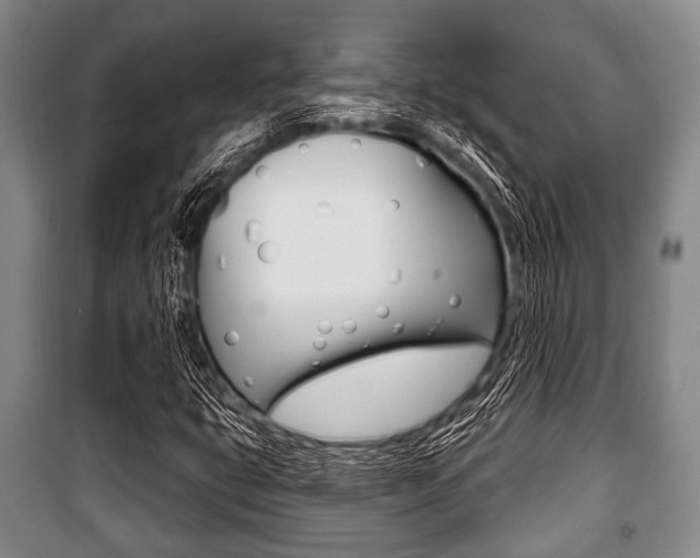 X0000101201399200806270818