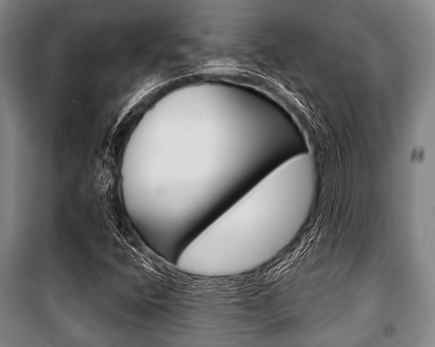 X0000101201400200806270818