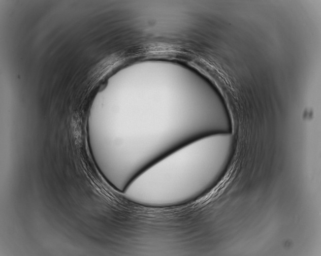 X0000101201401200806270818