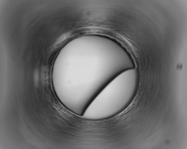 X0000101201403200806270818