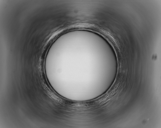 X0000101201404200806270818