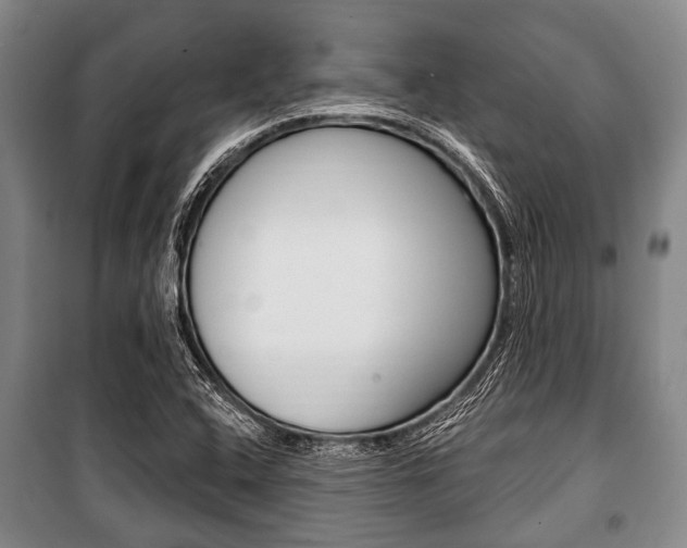 X0000101201408200806270818